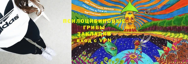 ешки Абинск
