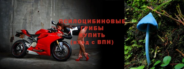 ешки Абинск