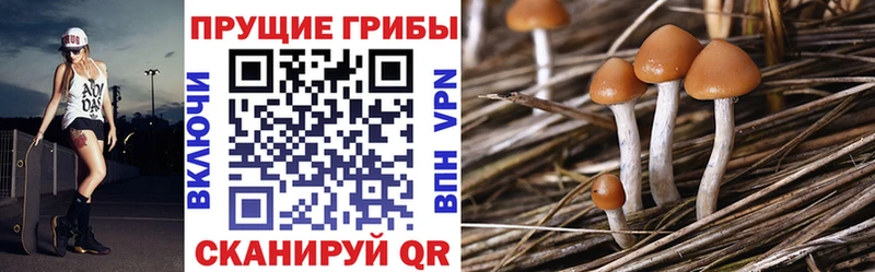 Галлюциногенные грибы ЛСД  ссылка на мегу ТОР  Нижнекамск 